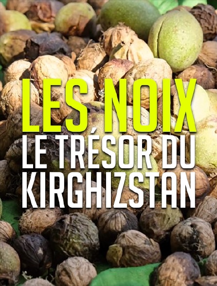 Les noix, le trésor du Kirghizstan