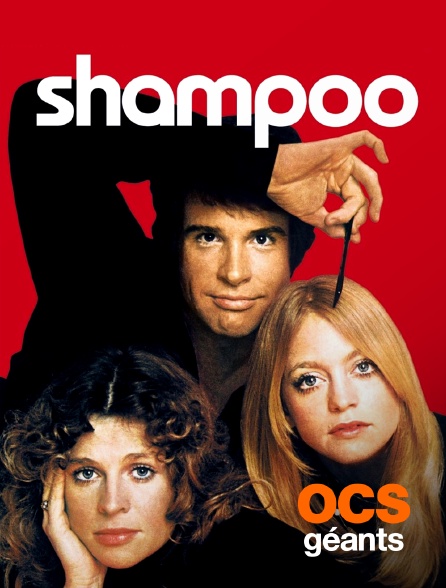 OCS Géants - Shampoo