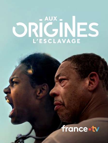 france.tv - Aux origines, l'esclavage