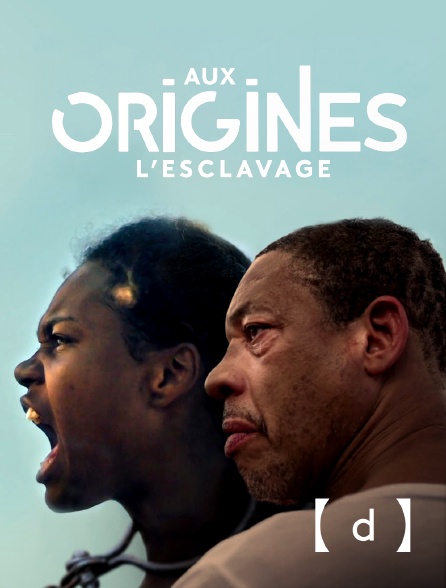 France TV Docs - Aux origines, l'esclavage