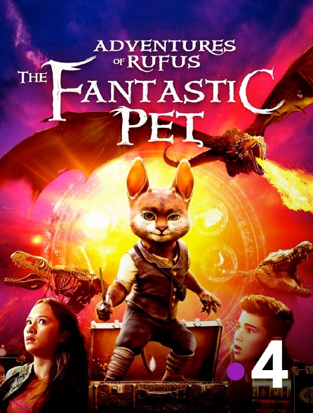 France 4 - Adventures of Rufus: The Fantastic Pet
