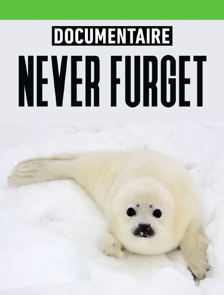 Never furget