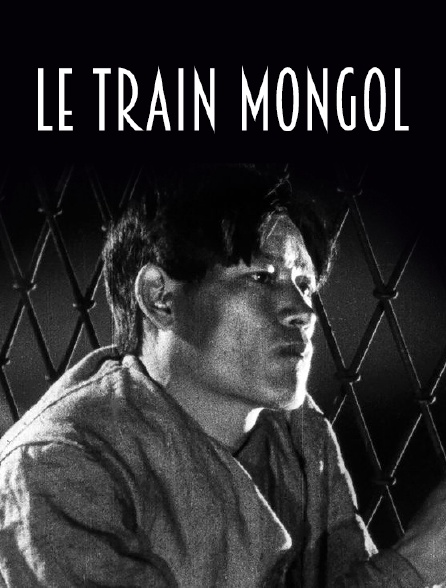Le train mongol