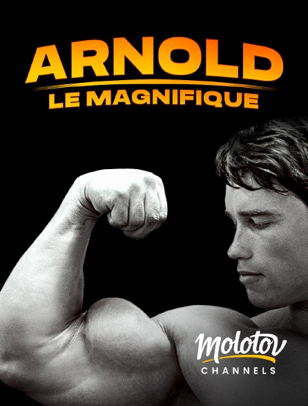 Mango - Arnold le magnifique
