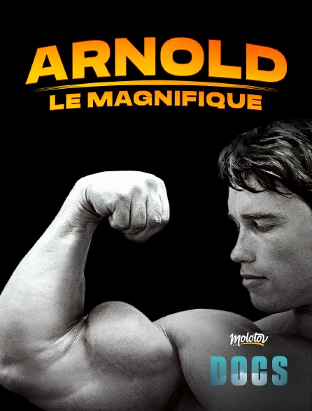 Molotov Channels Docs - Arnold le magnifique