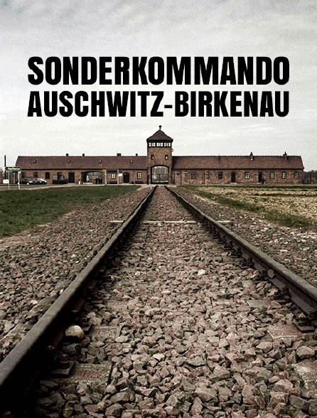 Sonderkommando Auschwitz-Birkenau