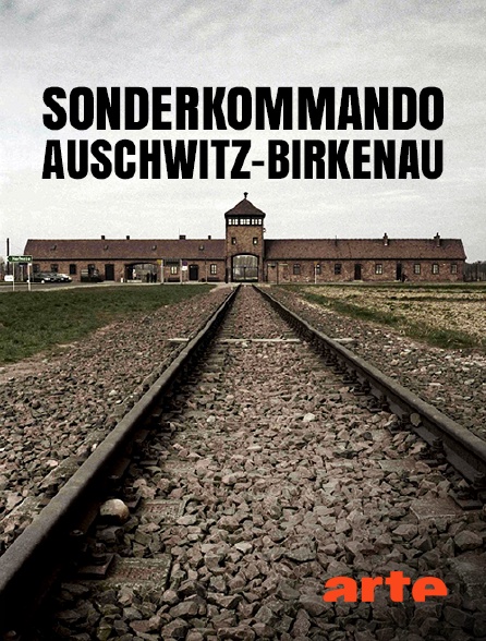 Arte - Sonderkommando Auschwitz-Birkenau