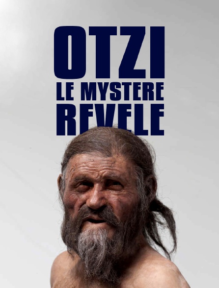 Otzi, le mystère révélé