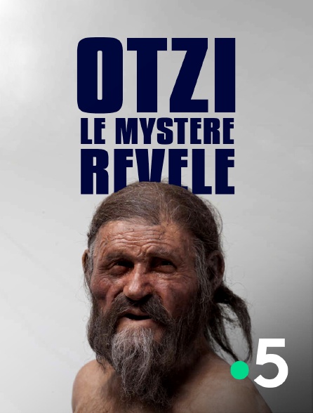 France 5 - Otzi, le mystère révélé