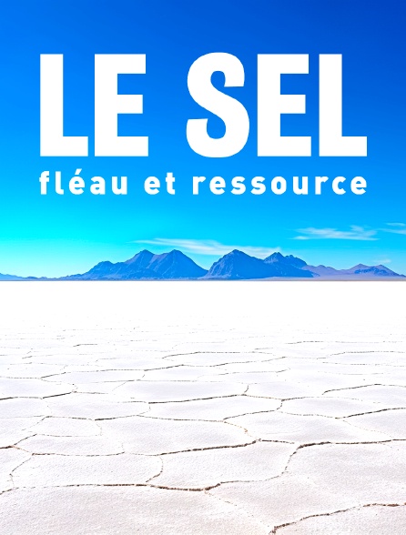 Le sel : Fléau et ressource