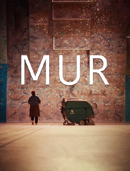 Mur