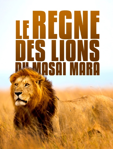 Le règne des lions du Masaï Mara