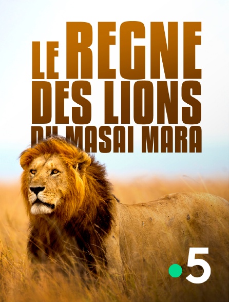 France 5 - Le règne des lions du Masaï Mara