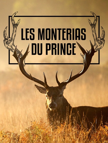 Les monterias du prince