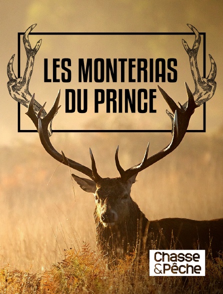 Chasse et pêche - Les monterias du prince