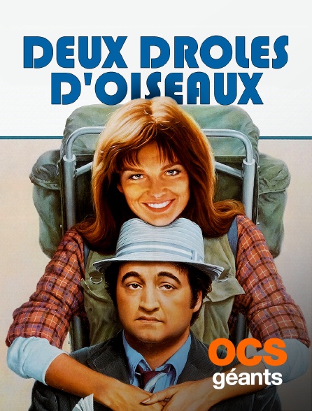 OCS Géants - Deux drôles d'oiseaux