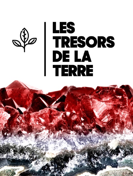 Les trésors de la Terre