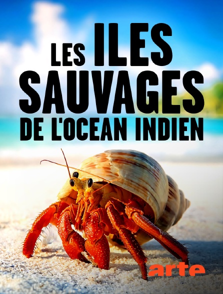 Arte - Les îles sauvages de l'océan Indien