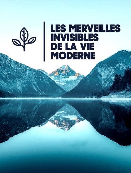 Les merveilles invisibles de la vie moderne