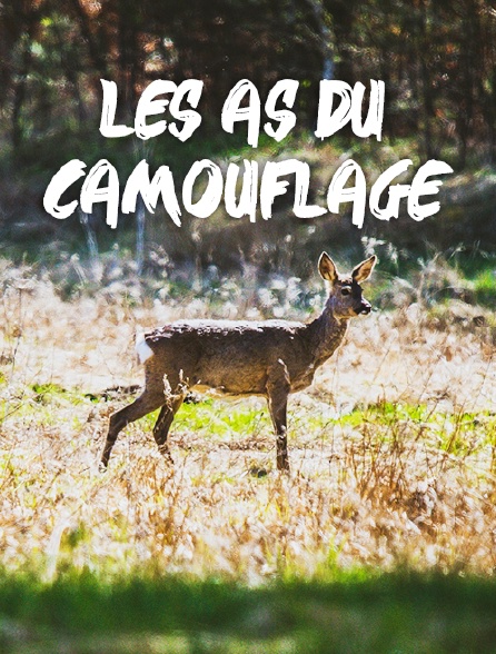 Les as du camouflage