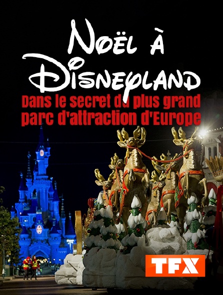 TFX - Noël à Disneyland : dans le secret du plus grand parc