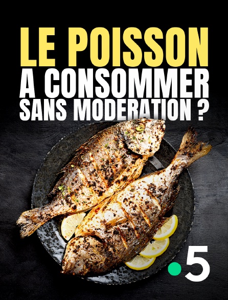 France 5 - Le poisson : à consommer sans modération ?
