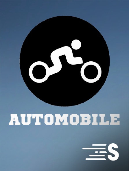 Sport en France - Automobile : FIA Coupe du monde GT