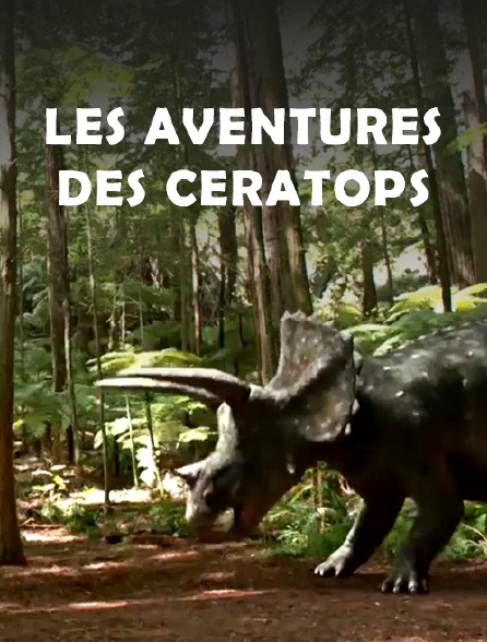 Les aventures des Ceratops