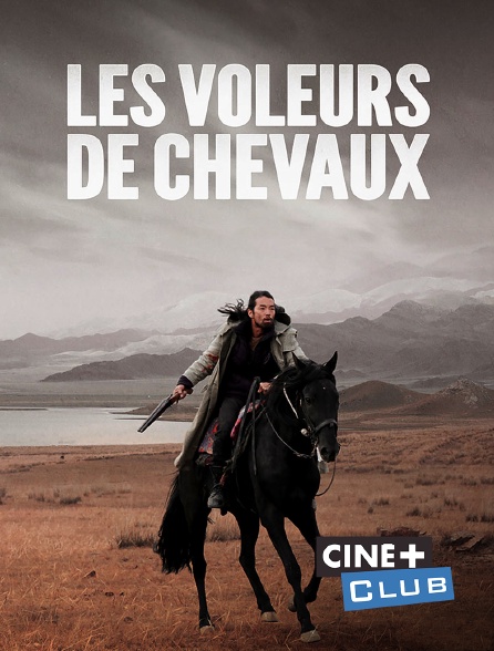Ciné+ Club - Les Voleurs de chevaux