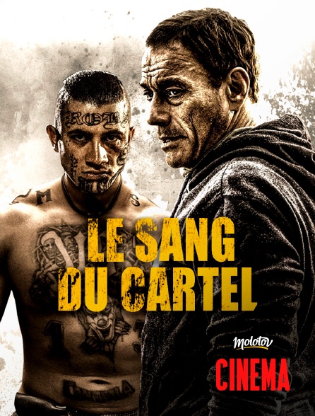 Molotov Channels Cinéma - Le sang du cartel