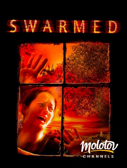 Molotov Channels - Swarmed