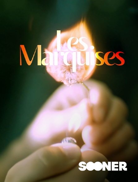 Sooner - Les marquises