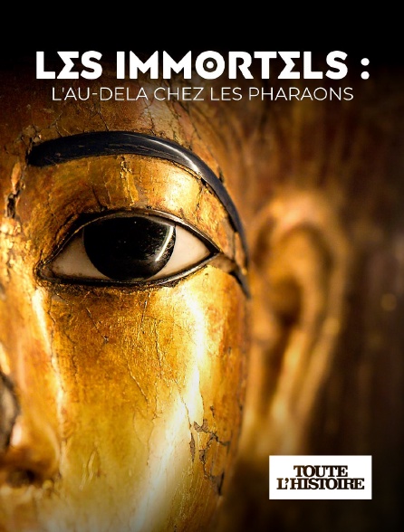 Toute l'Histoire - Les Immortels : l'au-delà chez les Pharaons