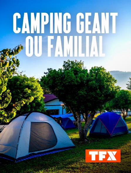 TFX - Camping géant ou familial : à chacun son camping !