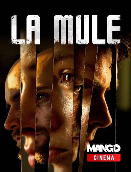 MANGO Cinéma - La mule