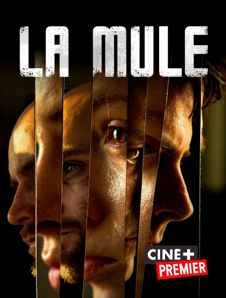 Ciné+ Premier - La mule