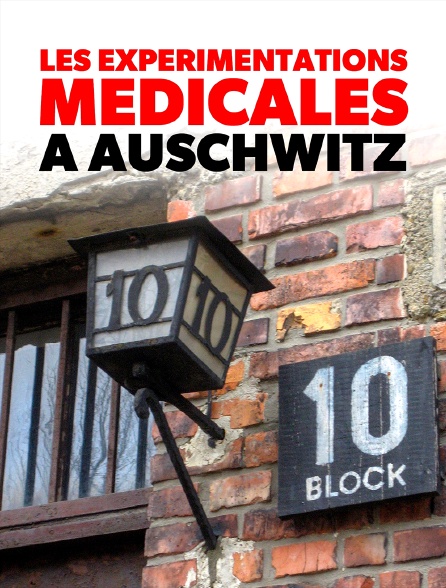 Les expérimentations médicales à Auschwitz : Clauberg et les femmes du bloc 10