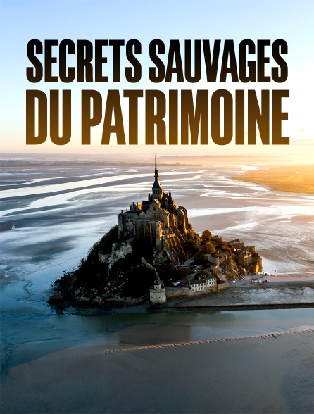 Secrets sauvages du patrimoine