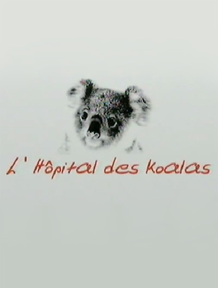 L'hôpital des koalas