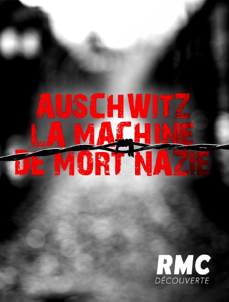 RMC Découverte - Auschwitz, la machine de mort nazie