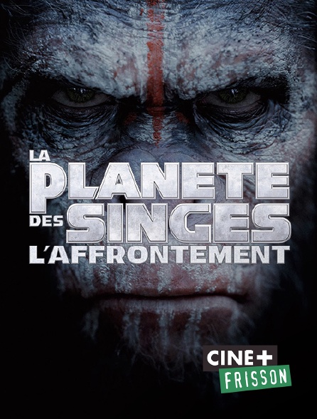 Ciné+ Frisson - La planète des singes : l'affrontement