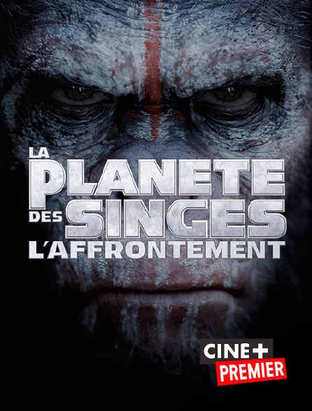 Ciné+ Premier - La planète des singes : l'affrontement