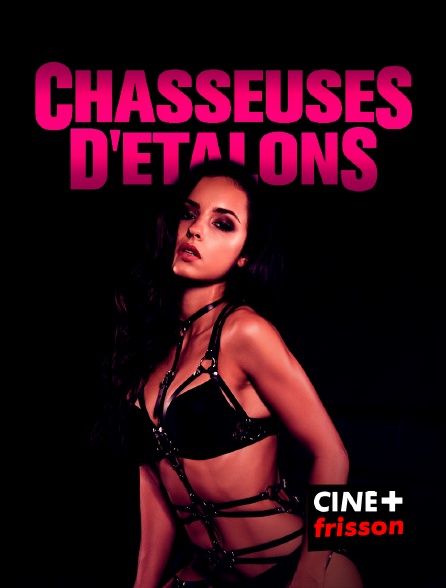 CINE+ Frisson - Chasseuses d'étalons