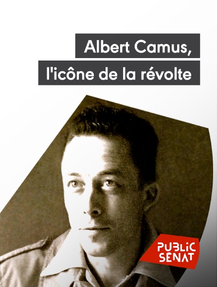 Public Sénat - Albert Camus, l'icône de la révolte