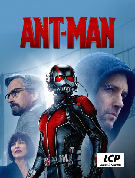 LCP 100% - Ant-Man