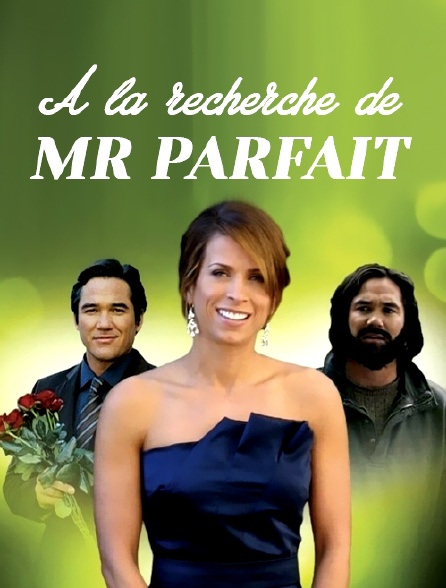 A la recherche de Mr Parfait