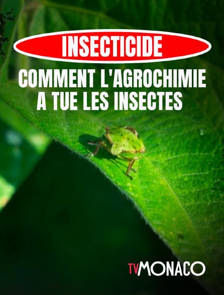 TV Monaco - Insecticide, comment l'agrochimie a tué les insectes