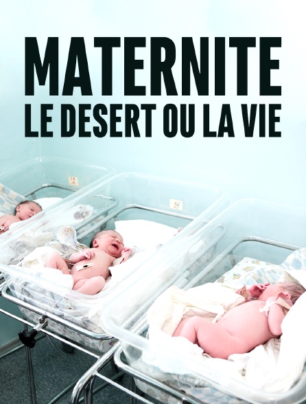 Maternité, le désert ou la vie