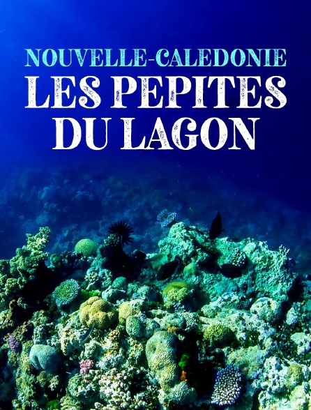 Nouvelle-Calédonie, les pépites du lagon