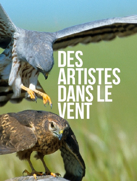 Des artistes dans le vent